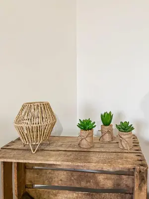 Plan de l'établissement Puilborin, appartement cosy, avec terrasse
