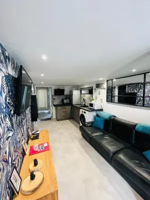 Cuisine ou kitchenette dans l'établissement Appartement Le Transbordeur