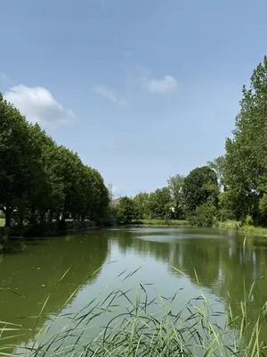Paysage naturel près de la maison de vacances