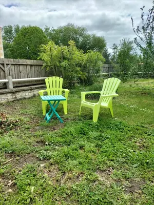 Jardin de l'établissement Studio en toute simplicité
