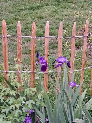 Jardin de l'établissement Les Herbes Folles