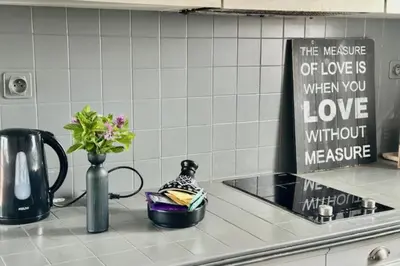 Cuisine ou kitchenette dans l'établissement Beautiful studio with balcony near the Old Port