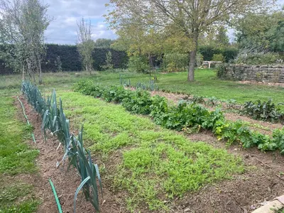 Jardin de l'établissement Suite familiale Namaste