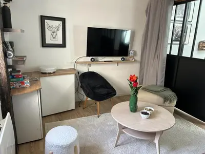 Télévision ou salle de divertissement dans l'établissement Charmant appartement au coeur de la ville
