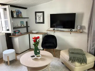 Télévision ou salle de divertissement dans l'établissement Charmant appartement au coeur de la ville