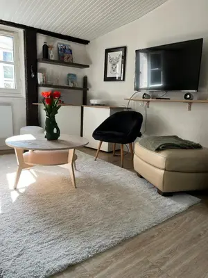 Télévision ou salle de divertissement dans l'établissement Charmant appartement au coeur de la ville