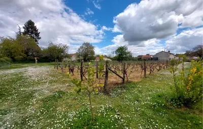 Jardin de l'établissement Holiday Gite On A Vineyard