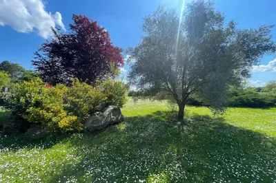 Jardin de l'établissement Villa paisible avec piscine