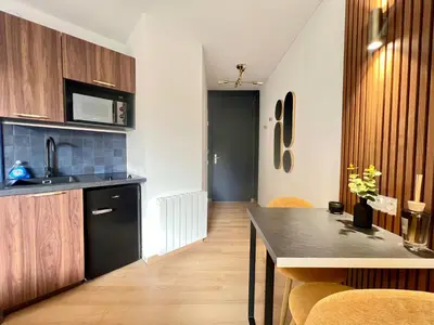 Cuisine ou kitchenette dans l'établissement Art Deco Studio avec terrasse aux portes du parc