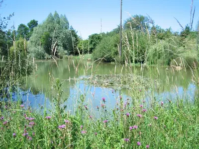 Paysage naturel près de la tente de luxe