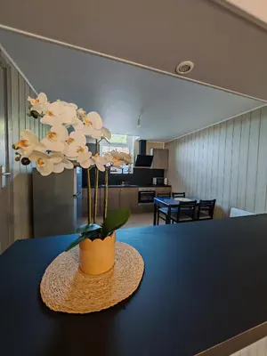 Plan de l'établissement l'appart Orchidée n12, cosy et lumineux