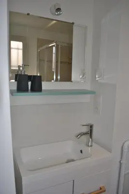 Salle de bains dans l'établissement Charmant T2 Duplex avec Terrasse au bord du Clain