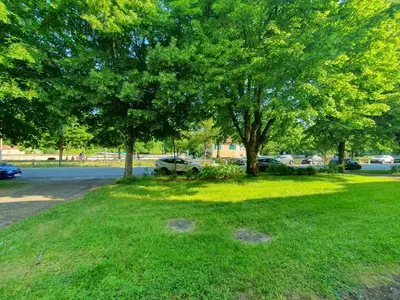 Jardin de l'établissement Charmant T2 Duplex avec Terrasse au bord du Clain
