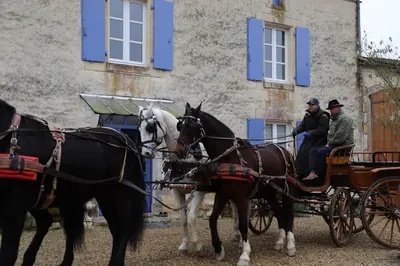 Équitation au sein de la maison de vacances ou à proximité