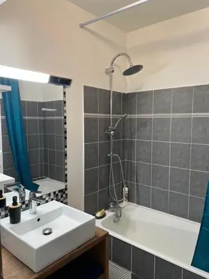 Salle de bains dans l'établissement Bel appartement proche du marché