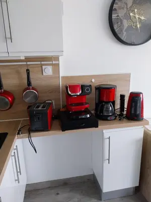 Cuisine ou kitchenette dans l'établissement Horizon