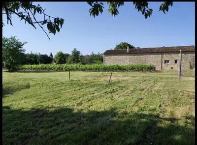 Jardin de l'établissement Cabane Taillis - Glamping on a Vineyard - Wooden Cabin