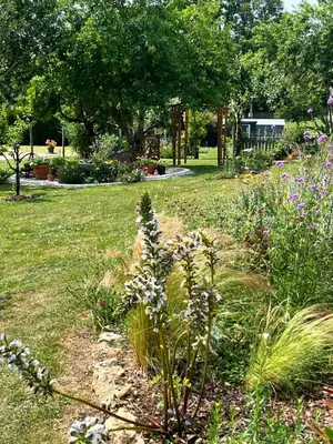 Jardin de l'établissement La Grange Charton Gite