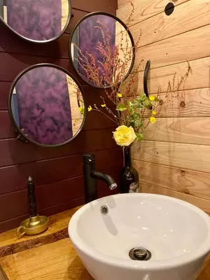 Salle de bains dans l'établissement Yourte moderne, tout confort