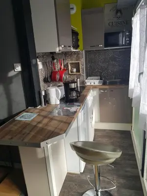 Cuisine ou kitchenette dans l'établissement Le Floréal