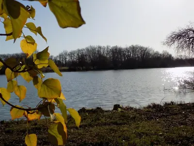 Paysage naturel près de la tente de luxe