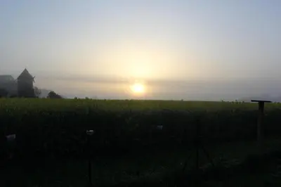 Lever ou coucher de soleil vu de l'appartement ou à proximité