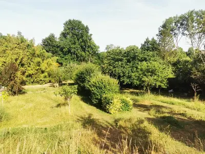 Paysage naturel près de le B&B/chambre d'hôtes