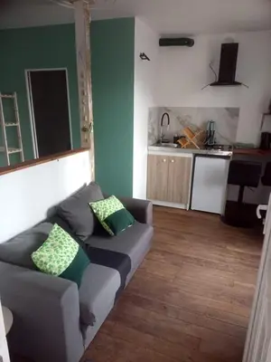 Cuisine ou kitchenette dans l'établissement Studio thème Dublin à Valdivienne