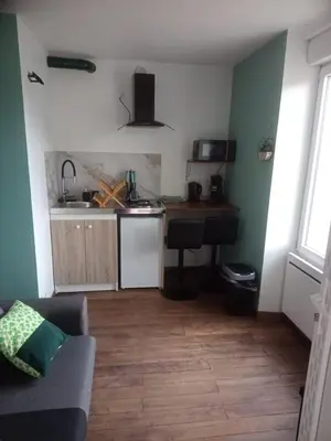 Cuisine ou kitchenette dans l'établissement Studio thème Dublin à Valdivienne