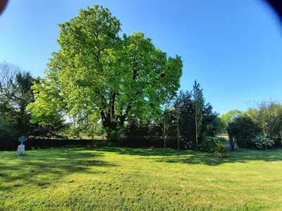 Jardin de l'établissement Château du Port Hublé