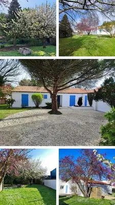 Plan de l'établissement Charming house