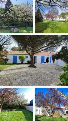 Plan de l'établissement Charming house
