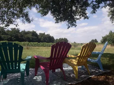 Jardin de l'établissement Gîte 3 La vigne est belle pour 1 à 3 personnes