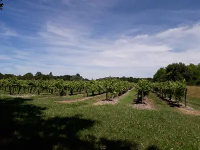 Paysage naturel près de la maison de vacances