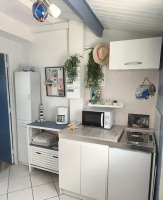 Cuisine ou kitchenette dans l'établissement L''Eden Studio avec jardin, et parking