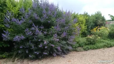 Jardin de l'établissement Villa Margo