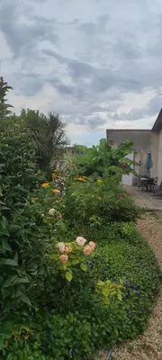 Jardin de l'établissement Villa Margo