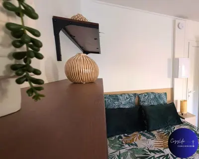 Un ou plusieurs lits dans un hébergement de l'établissement L'Oasis by Cozylife - Centre Ville