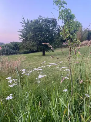Paysage naturel près de l'appartement