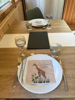 Plan de l'établissement Chalet La Savane