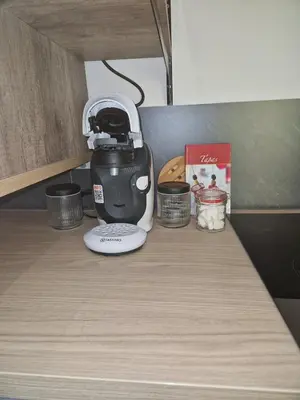 Cuisine ou kitchenette dans l'établissement Romantic Cognac Studio