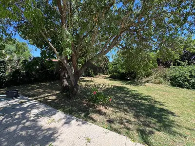 Jardin de l'établissement L'Amandiers en Fleurs - Située à deux minutes des plages