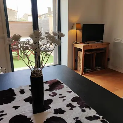 Télévision ou salle de divertissement dans l'établissement Maison cosy au cœur du Marais Poitevin