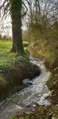 Paysage naturel près de le séjour chez l'habitant