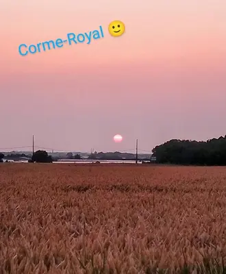 Paysage naturel près de le camping