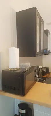 Cuisine ou kitchenette dans l'établissement Appartement T2 style tropical tout confort CENTRE VILLE