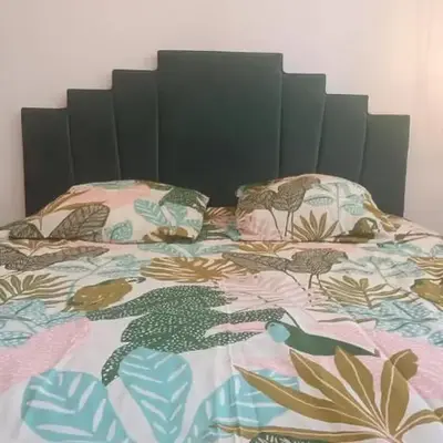 Appartement T2 style tropical tout confort CENTRE VILLE