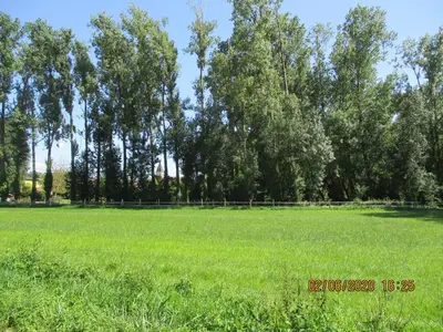 Paysage naturel près de la maison de vacances