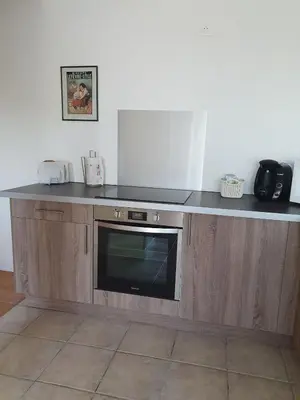Cuisine ou kitchenette dans l'établissement La Galdine T3