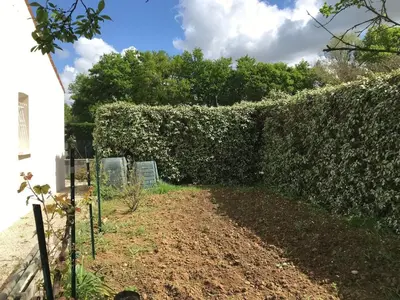 Jardin de l'établissement Maison contemporaine au calme avec jardin arboré